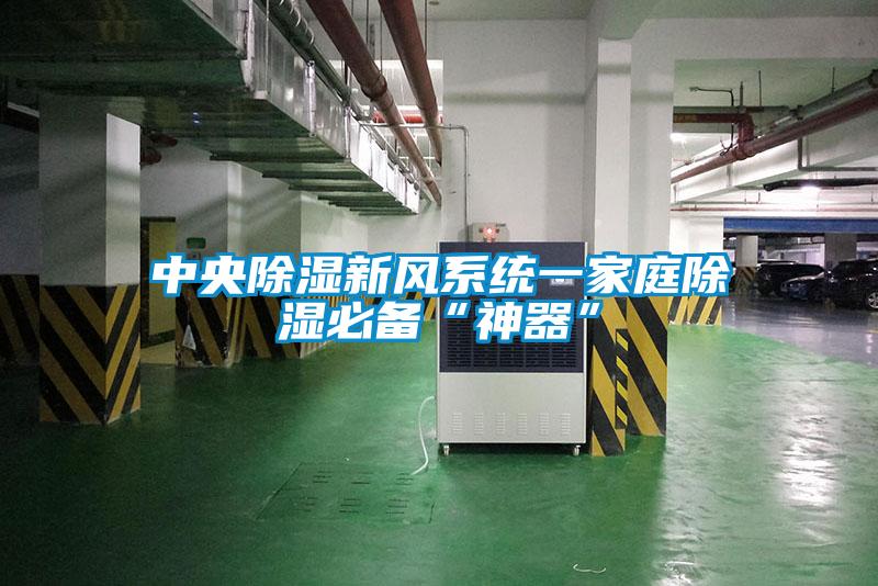 中央除濕新風系統一家庭除濕必備“神器”