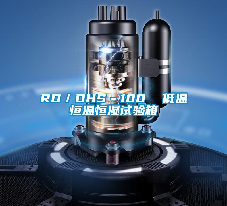 RD/DHS-100 低溫恒溫恒濕試驗箱