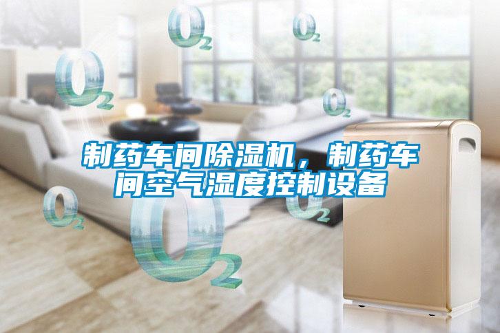 制藥車間除濕機,制藥車間空氣濕度控制設備