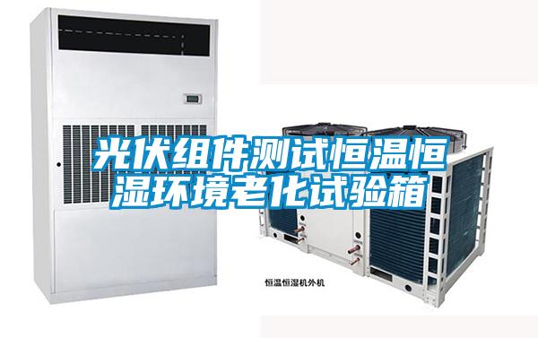 光伏組件測試恒溫恒濕環境老化試驗箱