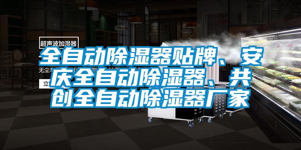 全自動除濕器貼牌、安慶全自動除濕器、共創全自動除濕器廠家