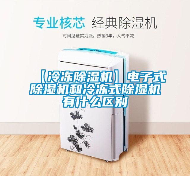 【冷凍除濕機】電子式除濕機和冷凍式除濕機有什么區別