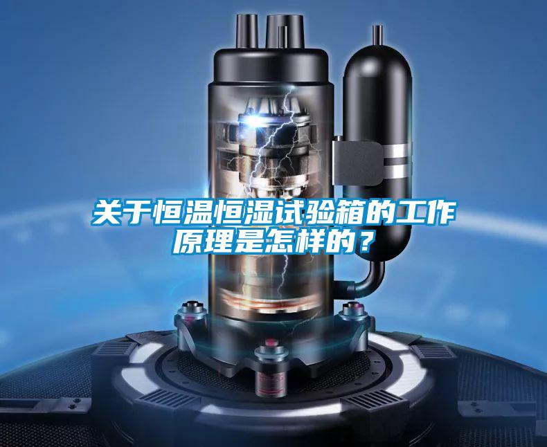 關于恒溫恒濕試驗箱的工作原理是怎樣的?