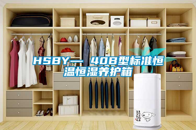 HSBY— 40B型標準恒溫恒濕養護箱