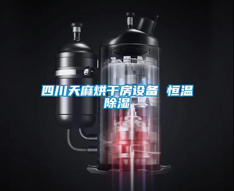 四川天麻烘干房設備 恒溫除濕