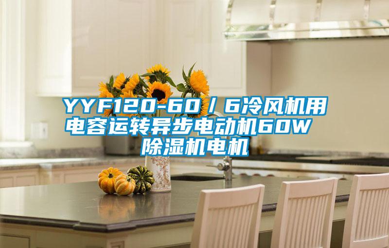 YYF120-60／6冷風(fēng)機用電容運轉(zhuǎn)異步電動機60W 除濕機電機