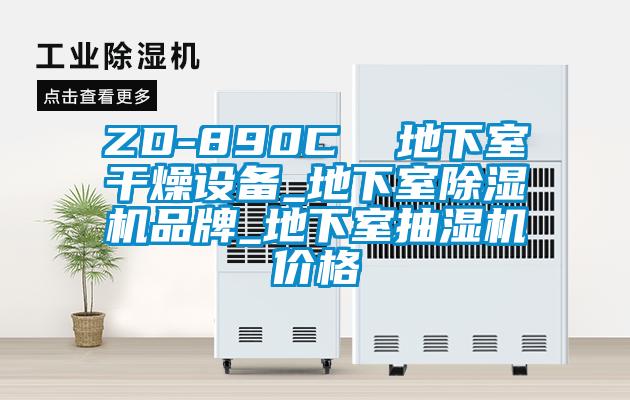 ZD-890C 地下室干燥設(shè)備_地下室除濕機(jī)品牌_地下室抽濕機(jī)價格