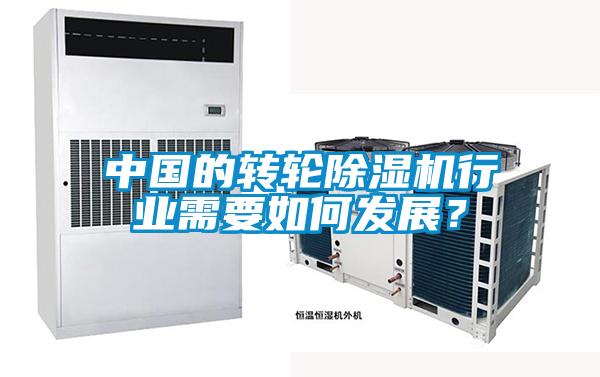 中國的轉輪除濕機行業需要如何發展?
