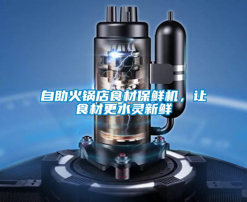自助火鍋店食材保鮮機(jī)，讓食材更水靈新鮮