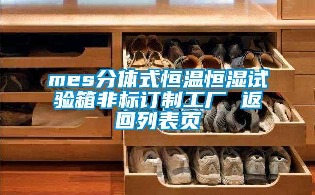 mes分體式恒溫恒濕試驗箱非標訂制工廠 返回列表頁