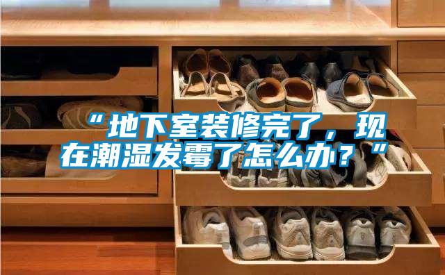 “地下室裝修完了，現在潮濕發霉了怎么辦？”