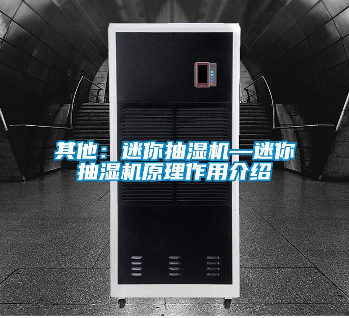 其他:迷你抽濕機—迷你抽濕機原理作用介紹