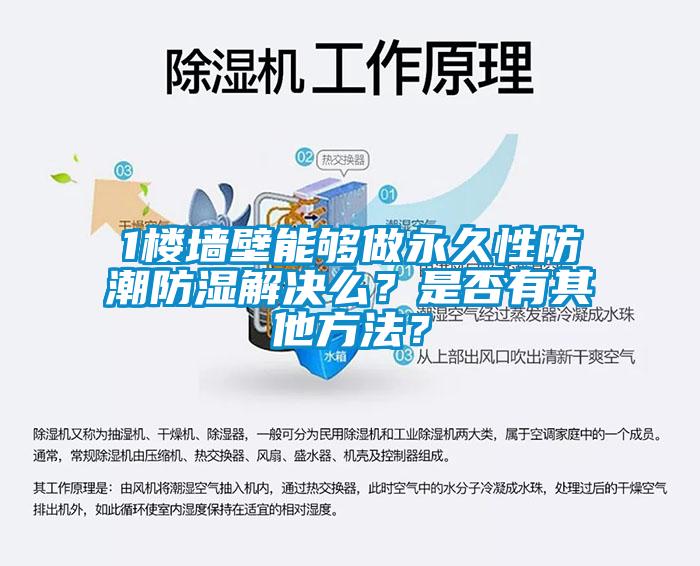 1樓墻壁能夠做永久性防潮防濕解決么?是否有其他方法?