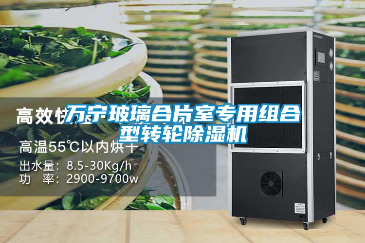 萬寧玻璃合片室專用組合型轉輪除濕機