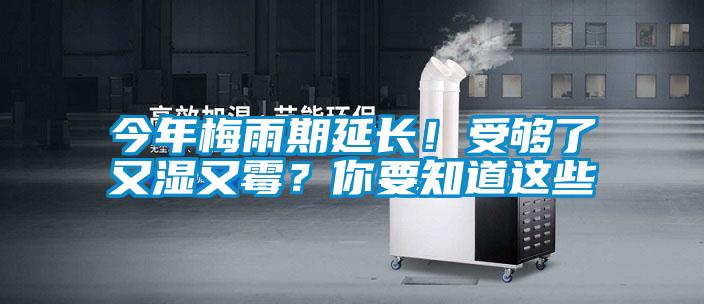 今年梅雨期延長!受夠了又濕又霉?你要知道這些