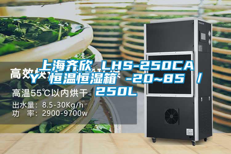 上海齊欣 LHS-250CAY 恒溫恒濕箱 -20~85℃/250L