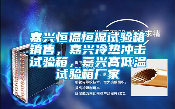 嘉興恒溫恒濕試驗箱銷售,嘉興冷熱沖擊試驗箱,嘉興高低溫試驗箱廠家