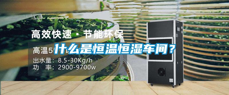 什么是恒溫恒濕車間?