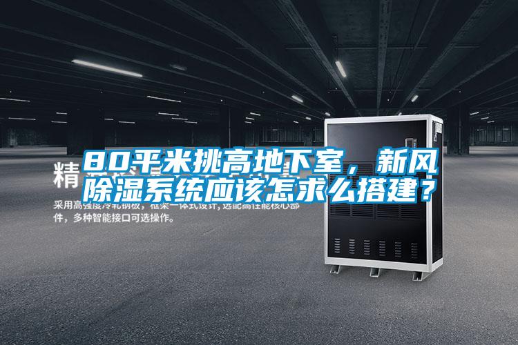 80平米挑高地下室,新風(fēng)除濕系統(tǒng)應(yīng)該怎求么搭建?