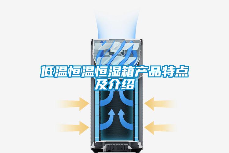 低溫恒溫恒濕箱產品特點及介紹