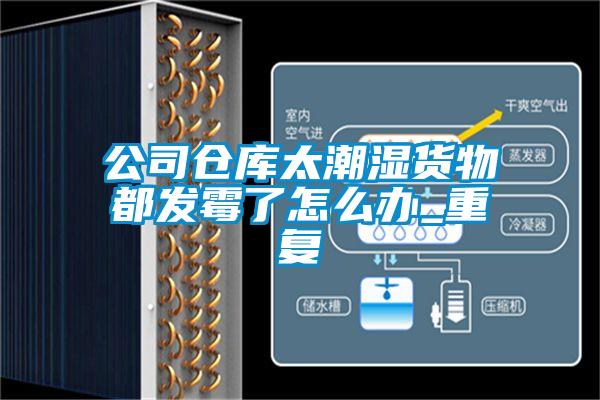 公司倉庫太潮濕貨物都發霉了怎么辦_重復