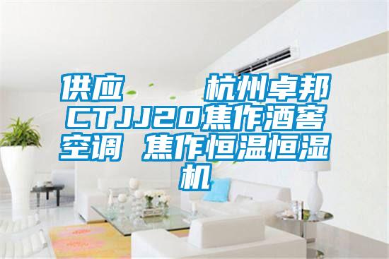 供應 杭州卓邦CTJJ20焦作酒窖空調 焦作恒溫恒濕機