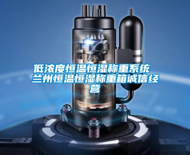 低濃度恒溫恒濕稱重系統(tǒng) 蘭州恒溫恒濕稱重箱誠(chéng)信經(jīng)營(yíng)