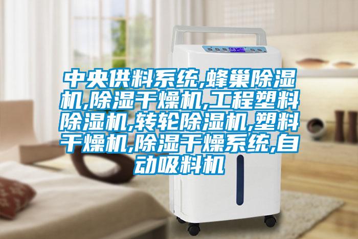中央供料系統,蜂巢除濕機,除濕干燥機,工程塑料除濕機,轉輪除濕機,塑料干燥機,除濕干燥系統,自動吸料機