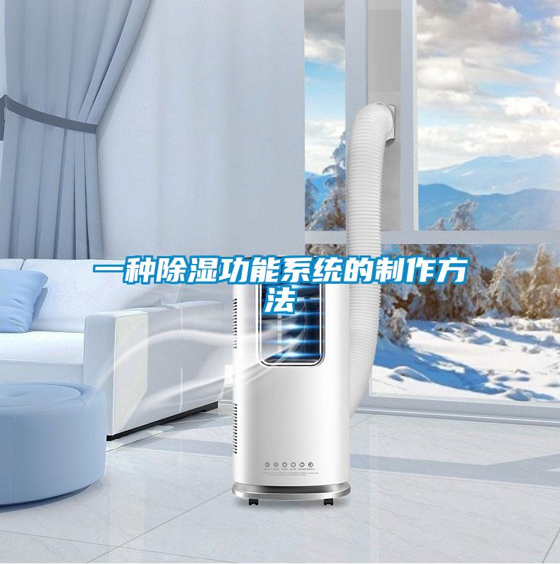 一種除濕功能系統的制作方法