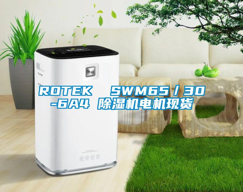 ROTEK  SWM65／30-6A4 除濕機電機現貨