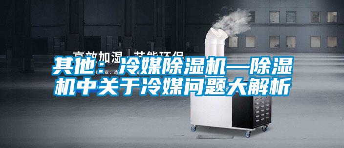其他:冷媒除濕機(jī)—除濕機(jī)中關(guān)于冷媒問(wèn)題大解析