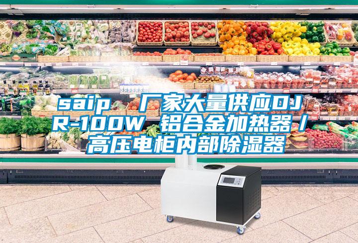 saip 廠家大量供應(yīng)DJR-100W 鋁合金加熱器/ 高壓電柜內(nèi)部除濕器