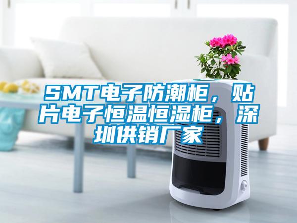 SMT電子防潮柜,貼片電子恒溫恒濕柜,深圳供銷廠家