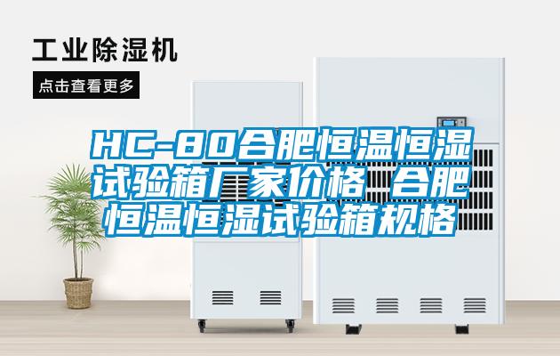 HC-80合肥恒溫恒濕試驗箱廠家價格 合肥恒溫恒濕試驗箱規格