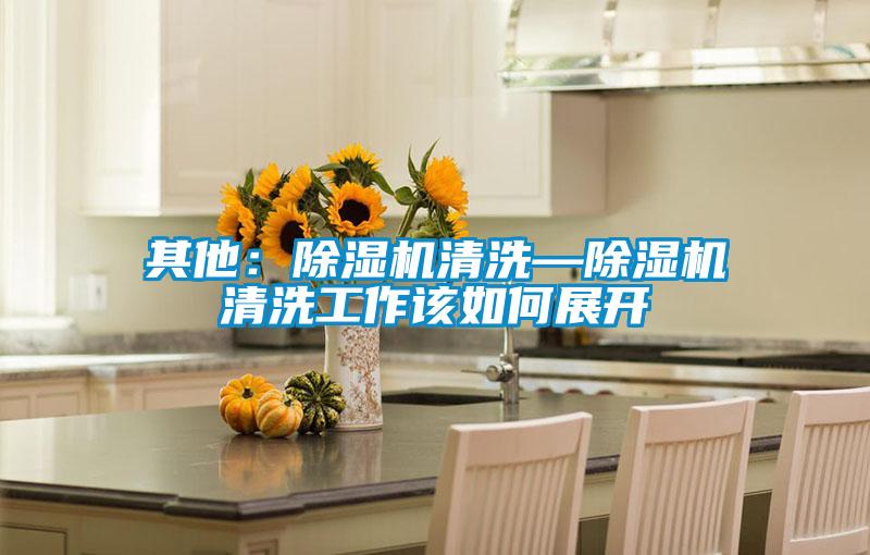 其他:除濕機清洗—除濕機清洗工作該如何展開