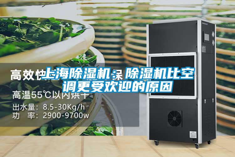 上海除濕機(jī):除濕機(jī)比空調(diào)更受歡迎的原因