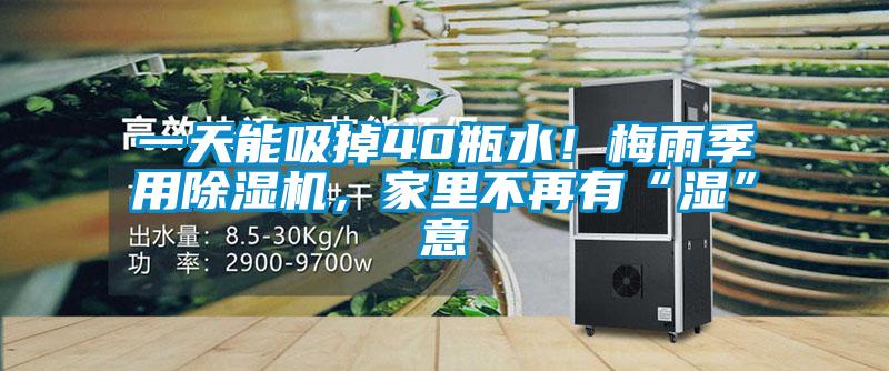 一天能吸掉40瓶水!梅雨季用除濕機,家里不再有“濕”意
