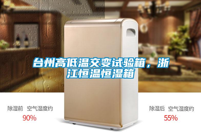 臺州高低溫交變試驗箱,浙江恒溫恒濕箱