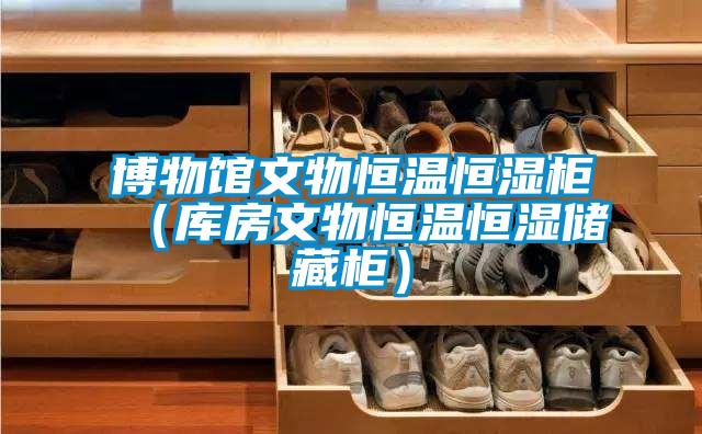 博物館文物恒溫恒濕柜(庫房文物恒溫恒濕儲藏柜)