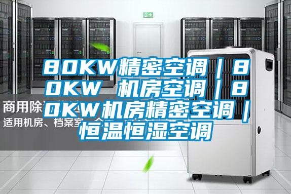 80KW精密空調(diào)｜80KW 機房空調(diào)｜80KW機房精密空調(diào)｜恒溫恒濕空調(diào)