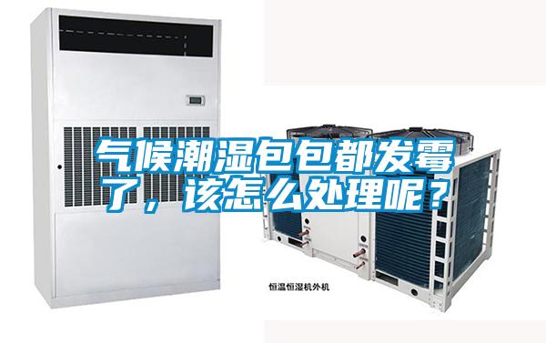 氣候潮濕包包都發霉了,該怎么處理呢?