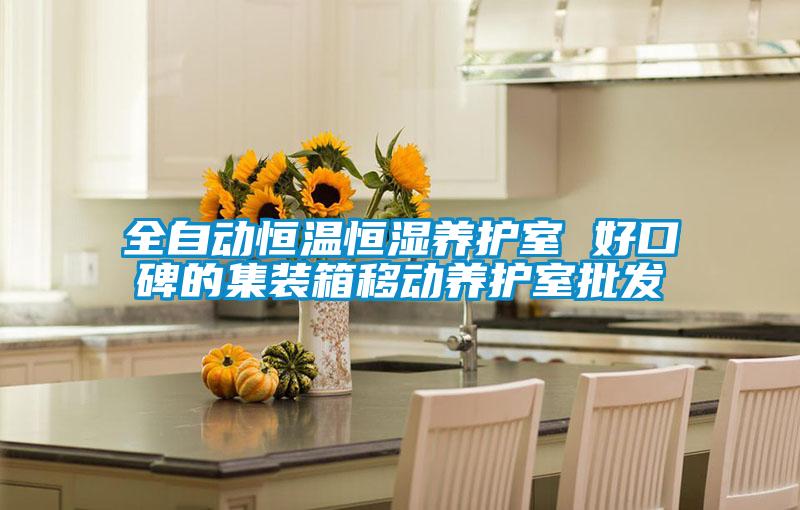 全自動恒溫恒濕養護室 好口碑的集裝箱移動養護室批發