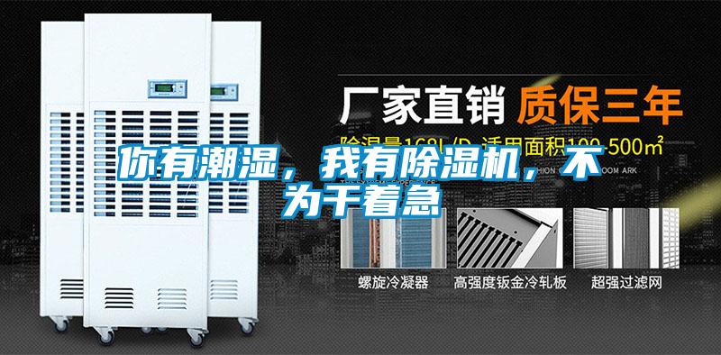 你有潮濕，我有除濕機(jī)，不為干著急