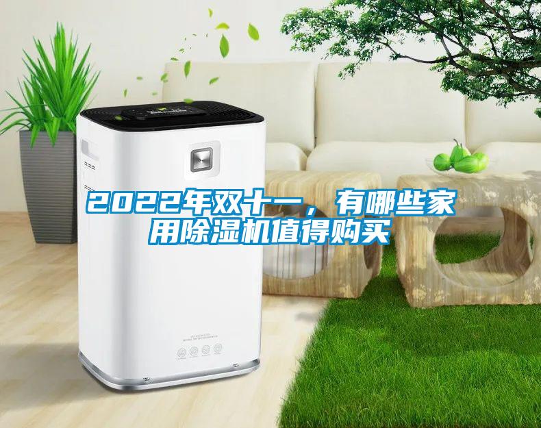 2022年雙十一，有哪些家用除濕機值得購買
