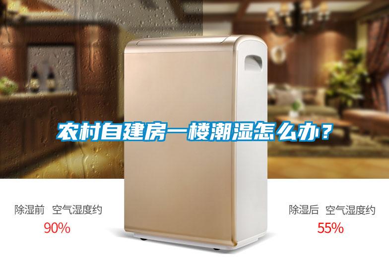 農村自建房一樓潮濕怎么辦?