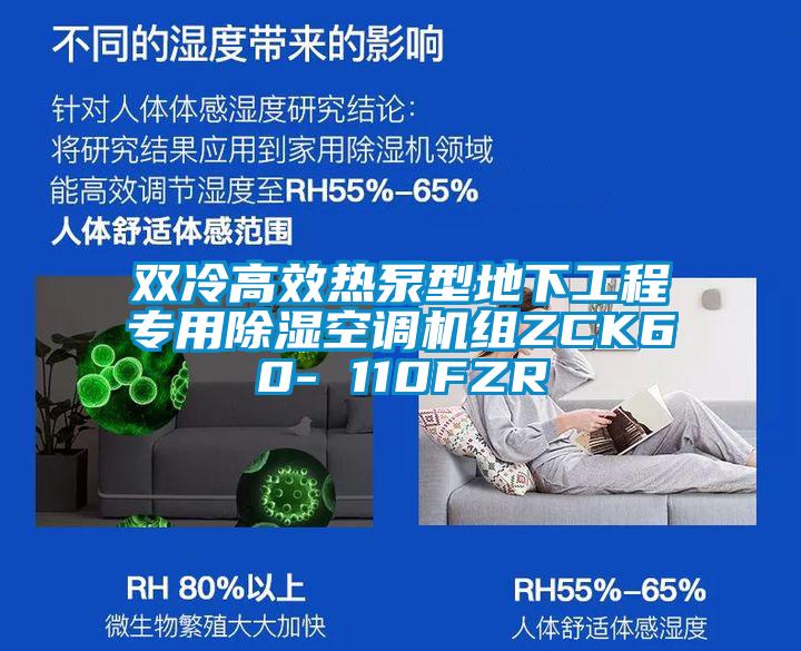 雙冷高效熱泵型地下工程專(zhuān)用除濕空調(diào)機(jī)組ZCK60- 110FZR