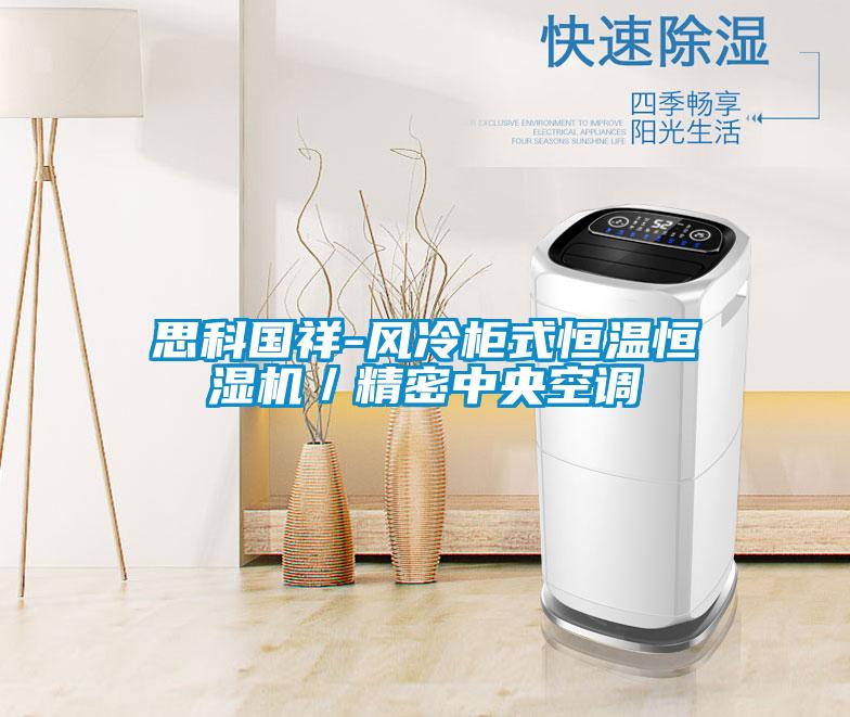 思科國祥-風冷柜式恒溫恒濕機/精密中央空調