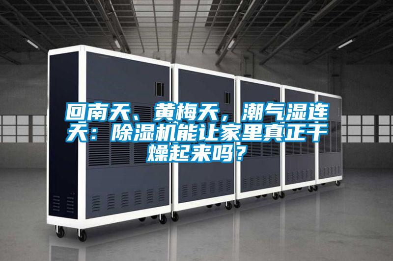 回南天、黃梅天,潮氣濕連天:除濕機(jī)能讓家里真正干燥起來嗎?