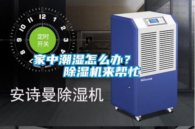 家中潮濕怎么辦? 除濕機(jī)來幫忙