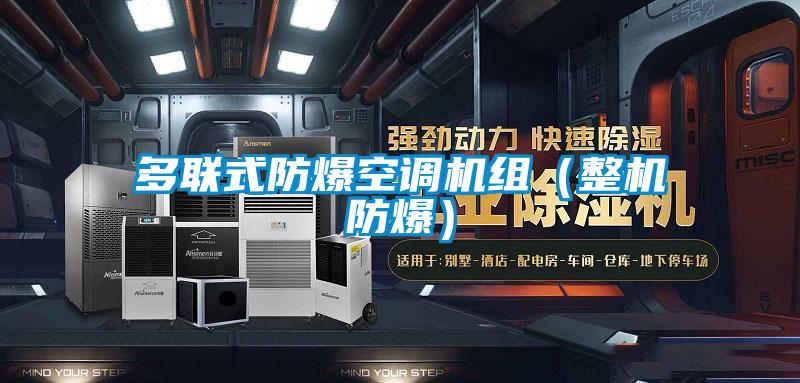 多聯式防爆空調機組（整機防爆）